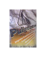 Logo di PULINDUSTRIALE srl