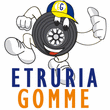 Logo di ETRURIA GOMME