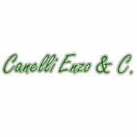 Logo di CANELLI ENZO & C. snc