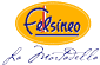 FELSINEO spa