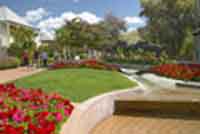 Logo di IDEAL GARDEN snc