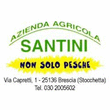 Logo di AGRITURISMO FIOR DI PESCO