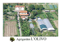 Logo di AGRIGARDEN L'OLIVO