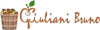 Logo di GIULIANI BRUNO & C. snc