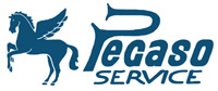 Logo di PEGASO SERVICE