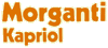 MORGANTI spa