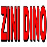 Logo di ZINI DINO snc