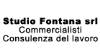 Logo di STUDIO FONTANA SRL - DOTT. FILIPPO FEDI E DOTT.SSA SILVIA PELLEGATTA