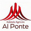 Logo di AZIENDA AGRICOLA AL PONTE