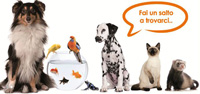 Logo di IPERVERDE srl ZOOGARDEN VALTELLINESE