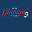 Logo di AUTO GIANNINI