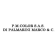 Logo di P.M. COLOR