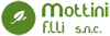 Logo Logo