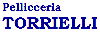 TORRIELLI PELLICCERIA SARTORIA