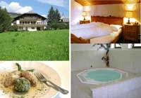 Logo di ALPINHOTEL KEIL