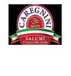 Logo di CAREGNINI LUIGI