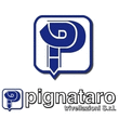 Logo di PIGNATARO TRIVELLAZIONI