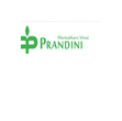 Logo di FLORICOLTURA PRANDINI