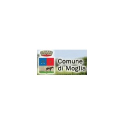 Logo di COMUNE DI MOGLIA