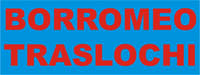 Logo di TRASLOCHI BORROMEO