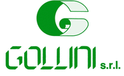 Logo di GOLLINI