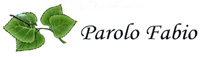Logo di PAROLO FABIO