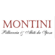 Logo di P.F.M. MONTINI FLAVIO