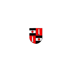 Logo di COMUNE DI FIE'
