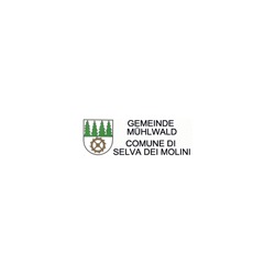 Logo di COMUNE SELVA DEI MOLINI