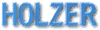 Logo di HOLZER BUS