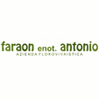 Logo di AZIENDA FLOROVIVAISTICA FARAON ANTONIO