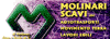 Logo di MOLINARI SCAVI