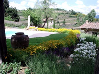 Logo di DIMENSIONE VERDE