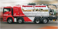 Logo di DURGONI PEPPINO E FIGLI snc