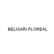 Logo di BELISARI FLOREAL