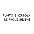 Logo di PUNTO E VIRGOLA