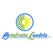 Logo di ORTOFRUTTA CANDELA