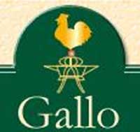 Logo di GALLO snc
