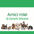 Logo di AMICI MIEI