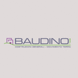 Logo di BAUDINO S.R.L.