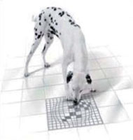 Logo di CERAMICHE A.Z.