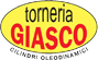 Logo di TORNERIA GIASCO SAS