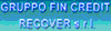 GRUPPO FIN CREDIT RECOVER srl