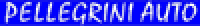 Logo di PELLEGRINI AUTO