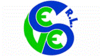 Logo di VESE