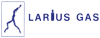 Logo di LARIUS GAS