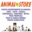 Logo di ANIMAL STORE