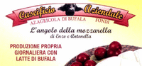 Logo di CASEIFICIO L'ANGOLO DELLA MOZZARELLA