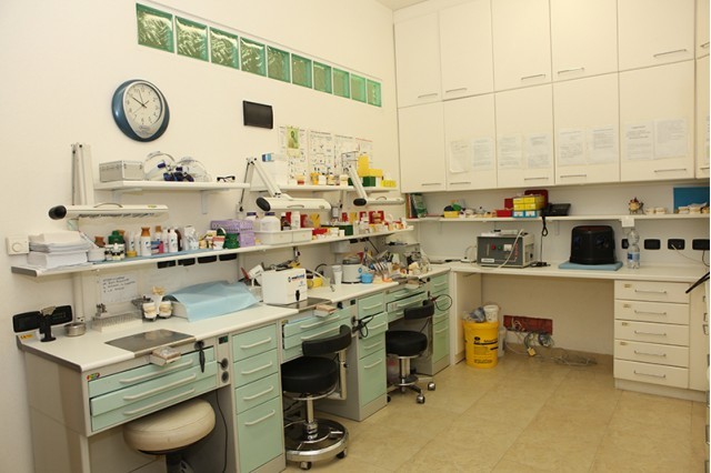 Studio dentistico stefanelli dentisti medici chirurghi ed ... Studio dentistico stefanelli
