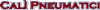 Logo di CALI' PNEUMATICI